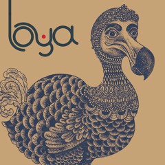 Loya - Vezo For Jalil