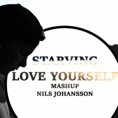 Love Yourself/Starving - Justin Bieber & Hailee Steinfeld (Mash Up)