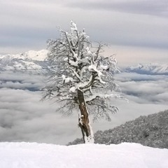 Depeche Mode - Enjoy the silence (Hernan Delgado NuDisco Remix)