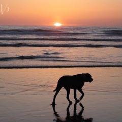 Papi x Essay - Smoke So Much (Prod. by TK x Cronii)