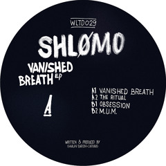 [PREMIERE] Shlømo - "Obsession"