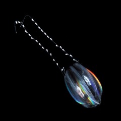 Deephead - Unsound X CTM Dislocation