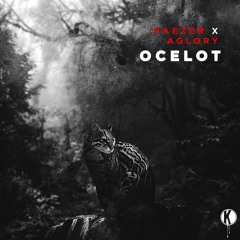 HAEZER x AGLORY - Ocelot