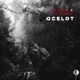 on HAEZER x AGLORY - Ocelot