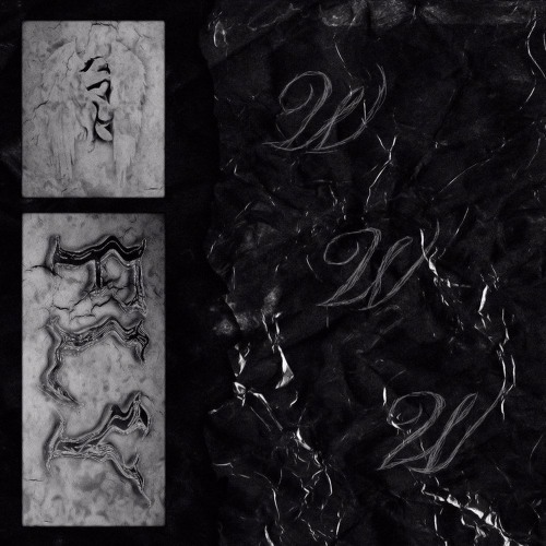 FLY (FT. DJ HEROIN)