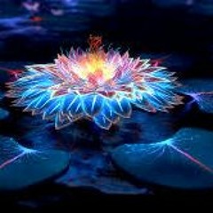 Patience Lotus Flower Bomb (Rap Version..)