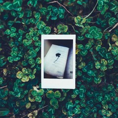 As We Both Close in on the Water (Full Album Stream 2016)