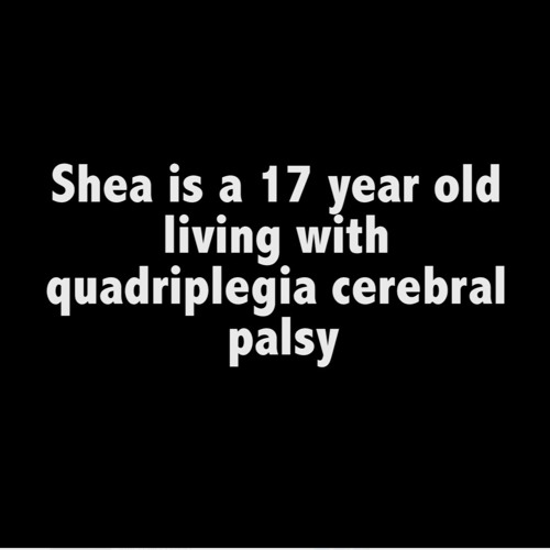 Shea - Clip 3 (2016)