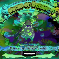 Maleean Ft. Nathan Brumley - World Of Dreams