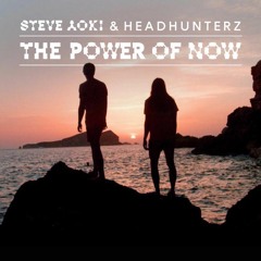 Headhunterz & Steve Aoki - Power Of Now (Audicy Rework)
