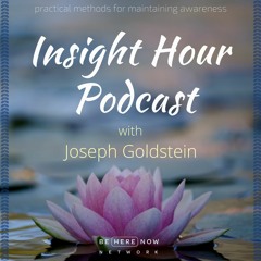 Joseph Goldstein - Insight Hour - Ep. 3 - Merging Awareness And Expression