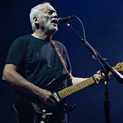 David Gilmour " Guitarist Extraordinaire "