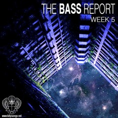The BASS Report - Week 5 - Mixed and Hosted by RUN DMT