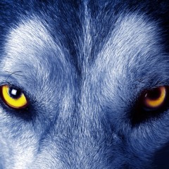 The Lone Wolf Theme, by Sia Reddy