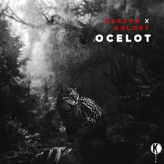 HAEZER x AGLORY - Ocelot (ZESKULLZ remix)