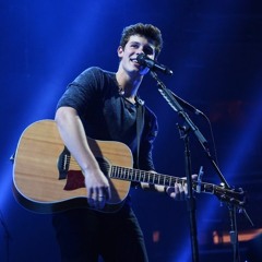 Bad Reputation - Shawn Mendes (Madison Square Garden)