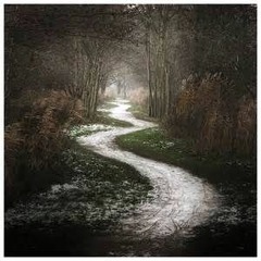 Marco Lucchi "The Path" ( SpectrumShift Mix )