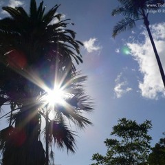 Bizz- Gangsta Paradise