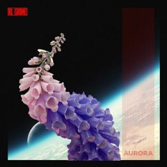 Aurora x Never Be Like You (RL Grime Edit)[JAYMAK Remake]