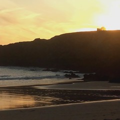 sonerien "Quillay and Noury" - mayonnaisé by funttimix