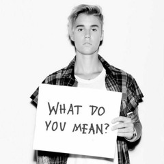 Justin Bieber - What Do You Mean (Phil Devon Remix)