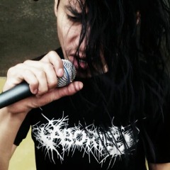 Wretched Human Mirror (collaboration cover)