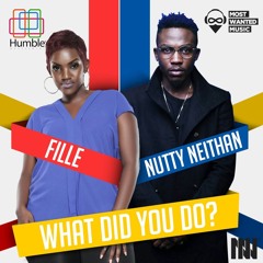 What did you do (Official Audio)Fille X Nutty Neithan