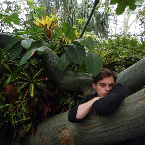 Kevin Krauter - Bachelor