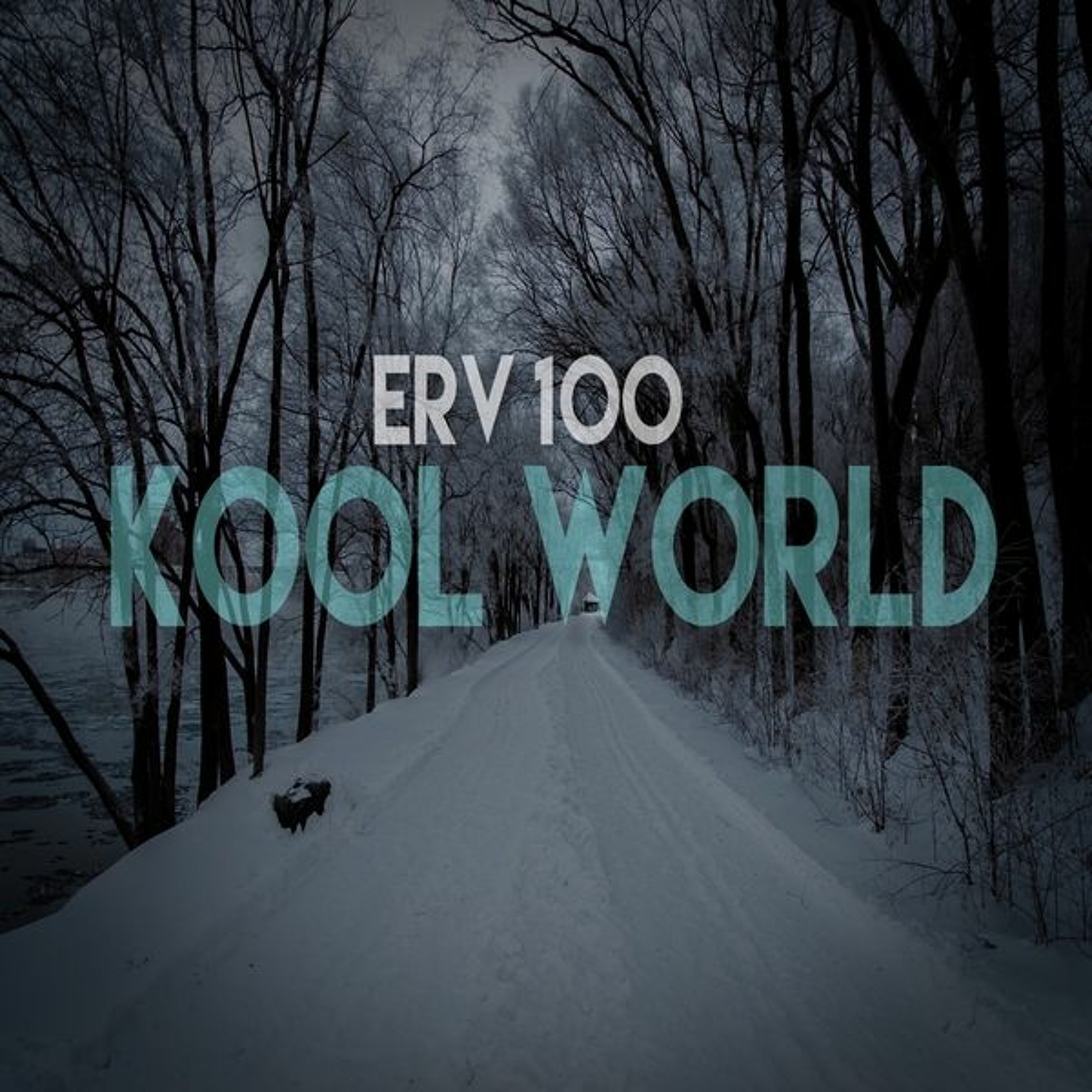 ErV100