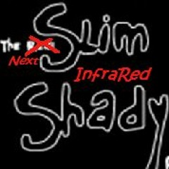 The Next Slim Shady(Just Don't Give A Fuck Remix)