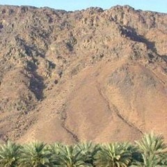 قصيدة عبد الله بن رواحة: تذكر بعد ما شطت نجودا