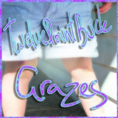 twelve point buck - i can run