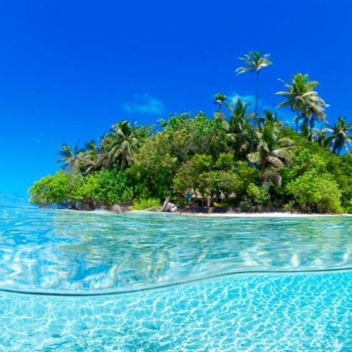 D A Z E x Gnarly Waves - Tropical Island