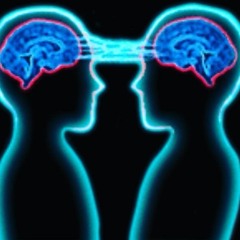 2: 06 A.M Extraction