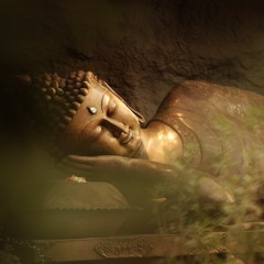 meditate