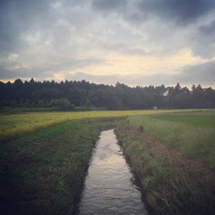 YACHIMATA_160914