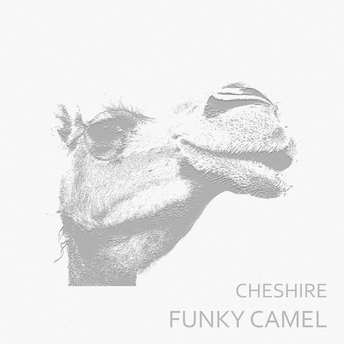 Funky Camel (FREE DOWNLOAD)