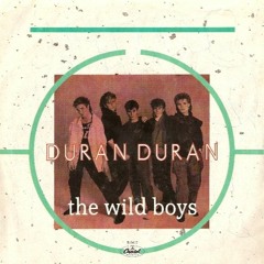 Duran Duran - Wild Boys (Cover)