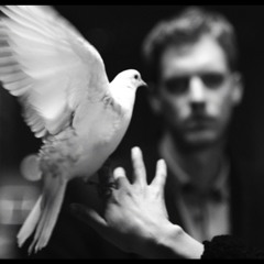 WARHAUS The Good Lies @ 621.WAV