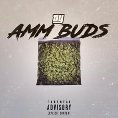 Ty - Amm Buds