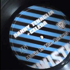 Danny Tenaglia Feat Celeda - Music Is The Answer Original Extended 12" Mix