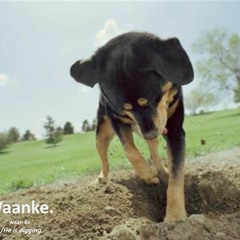 Waanke.  -  S/He is digging.