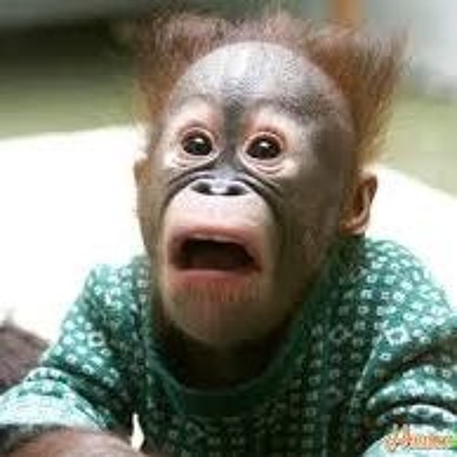 Wavebite - Stuntin' (Original Mix) [2k Freebie!]