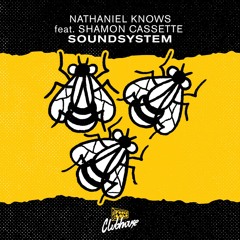 Nathaniel Knows - Soundsystem feat. Shamon Cassette
