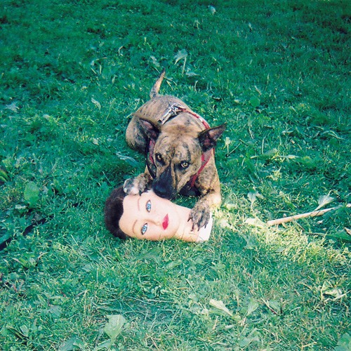 Joyce Manor - Last You Heard Of Me