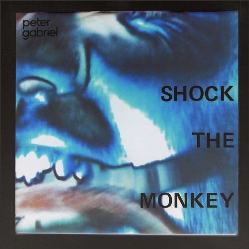 Peter Gabriel : Shock The Monkey / Dub The Monkey (Hibs Mix)