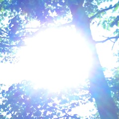 Things We Found In The Forest