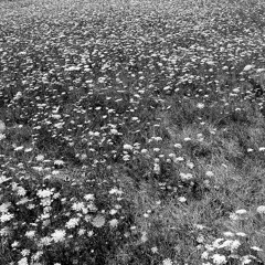 Four places, many more times