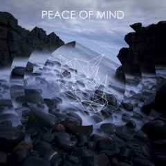 RHIINO - Peace Of Mind