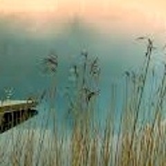 Tech-house / Deep-house/Minimal